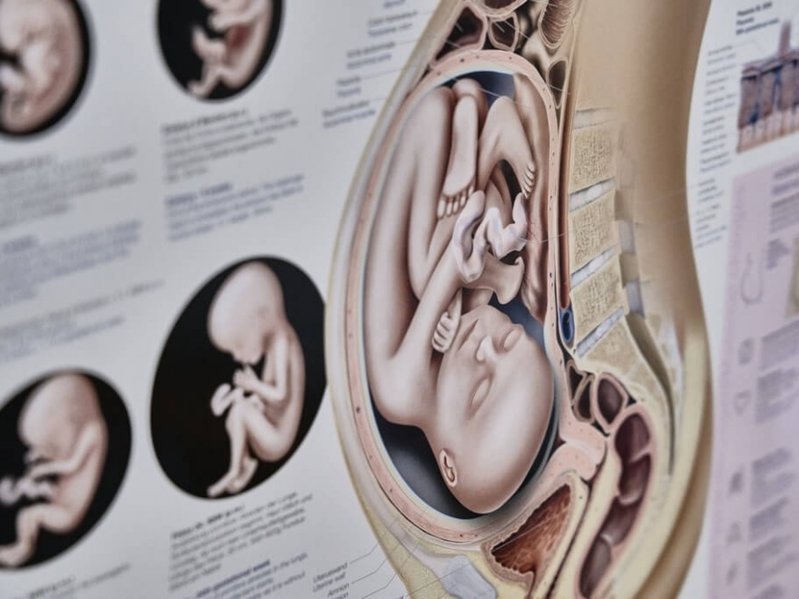 Impressionen - Privatpraxis Dr. Fischer & Kirschbaum - Fachärztinnen für Frauenheilkunde und Geburtshilfe