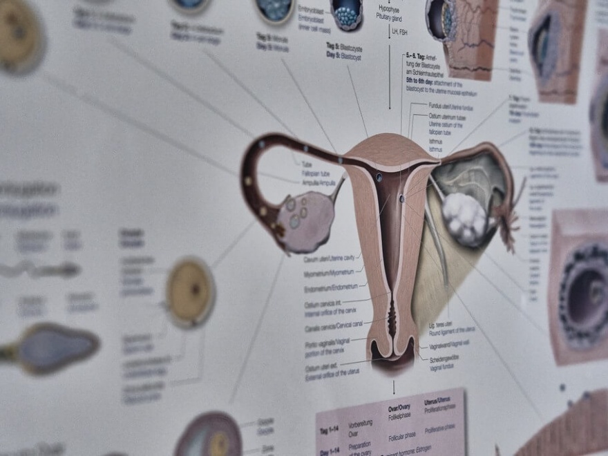 Impressionen - Privatpraxis Dr. Fischer & Kirschbaum - Fachärztinnen für Frauenheilkunde und Geburtshilfe